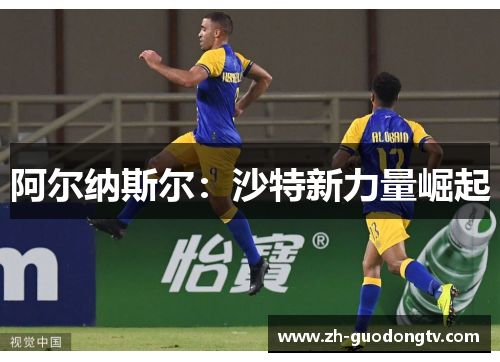 阿尔纳斯尔：沙特新力量崛起